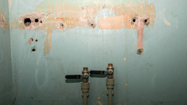 Professional Water damage restoration in NC